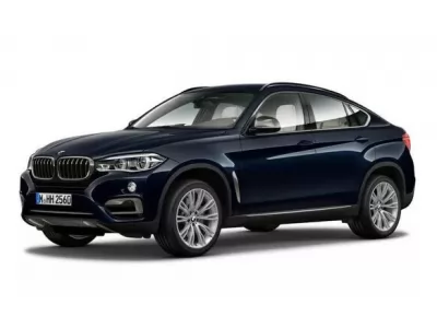  X6 (2014 - 2019)