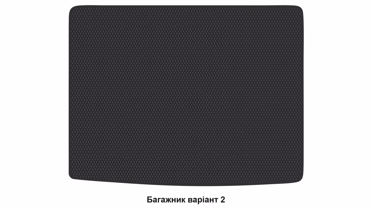 Interior mats for the BMW X2 F39 2017-2023 I generation Crossover - Фото 4