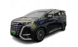 Коврики в салон Denza D9 2022 - … I поколение China Minivan 7-ми местная