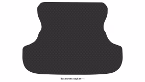 Interior mats for the Dodge Avenger (JS) 2007-2014 II generation US Sedan - Фото 3