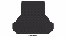 Interior mats for the Dodge Charger (LD) 2010-… VII generation US Sedan - Фото 3