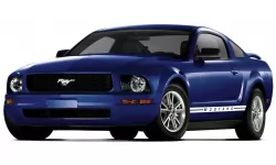 Коврики в салон Ford Mustang (S197) 2005 - 2012 V поколение USA Coupe дорест 