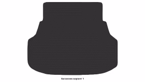 Interior mats for the Hyundai Equus (VI) 2009-2016 II generation Sedan - Фото 2