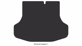 Interior mats for the Nissan Sentra B17 2012-2019 VII generation EU Sedan - Фото 2