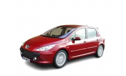 Коврики в салон Peugeot 307 2005 - 2008 I поколение EU Hatchback рест 5-ти дверная 