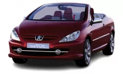 Коврики в салон Peugeot 307 CC 2001 - 2008 I поколение EU Cabriolet (Coupe) 