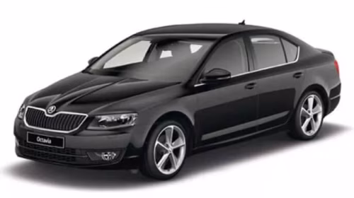 Interior mats for the Skoda Octavia A7 2017-2020 III generation EU Liftback restyling